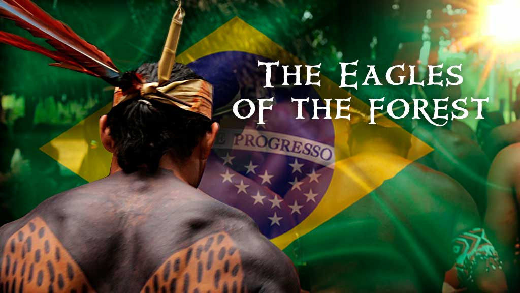 The Eagles of the Forest The Eagles of the Forest
