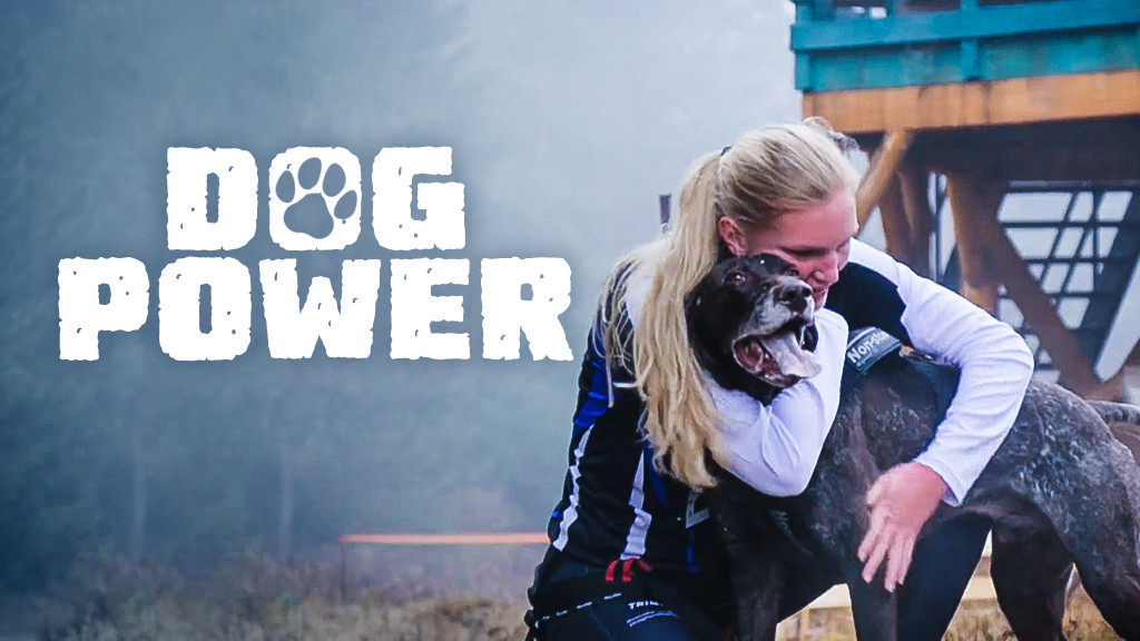 Dog Power Dog Power