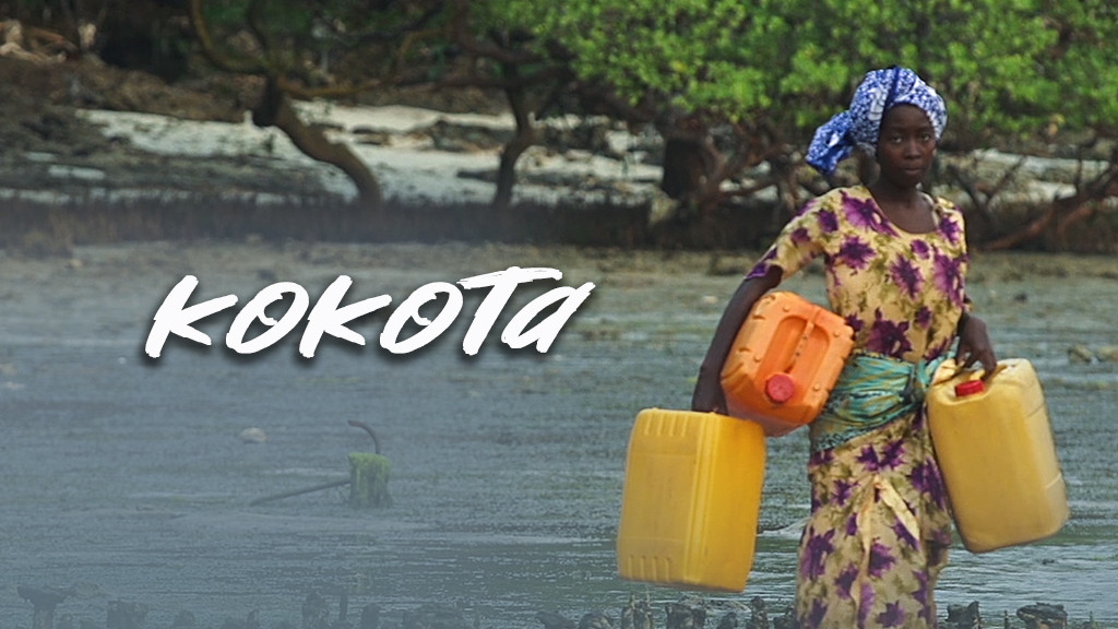 Kokota Kokota