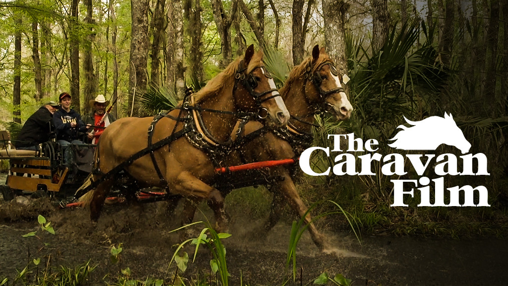 The Caravan Film The Caravan Film