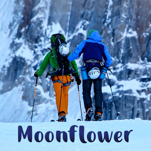 Moonflower Moonflower