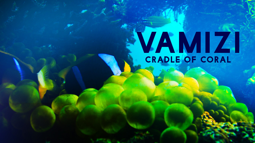 Vamizi: Cradle of Coral Vamizi: Cradle of Coral