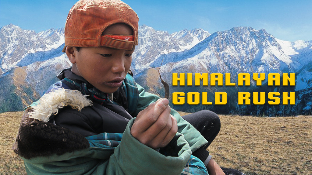 Himalayan Gold Rush Himalayan Gold Rush