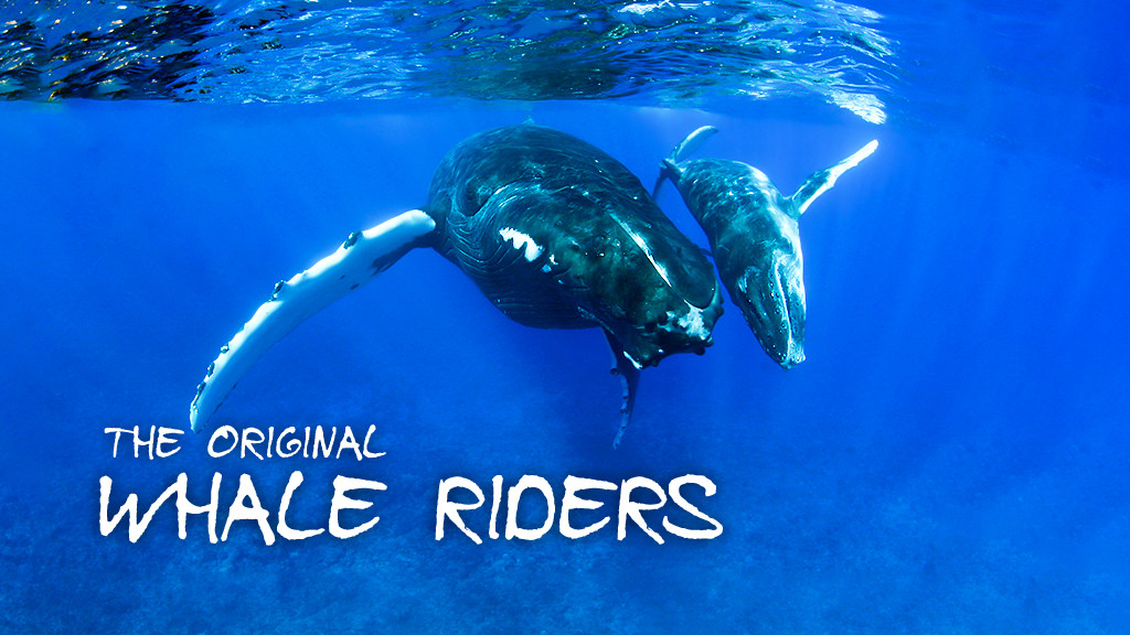 The Original Whale Riders The Original Whale Riders