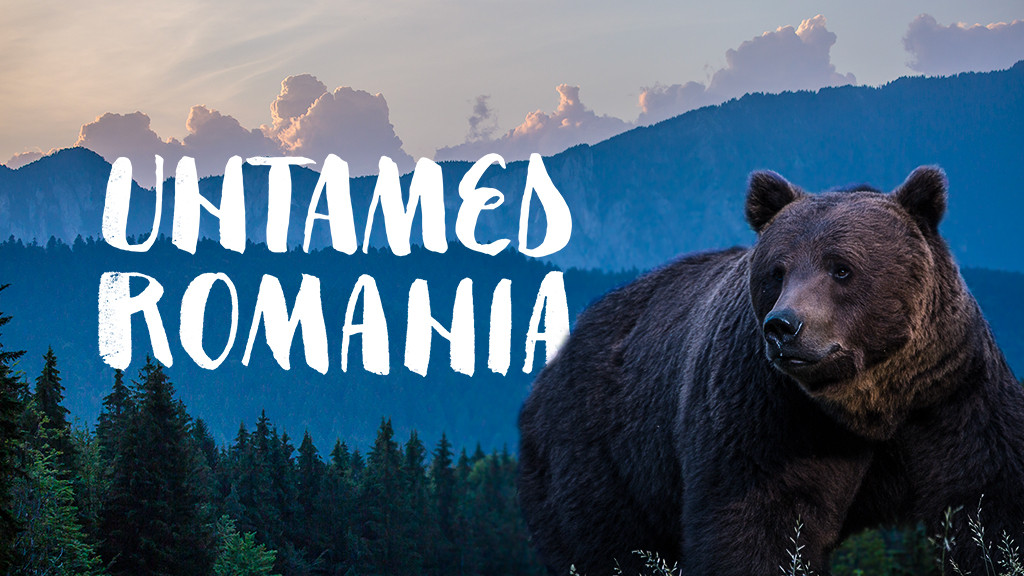 Untamed Romania Untamed Romania