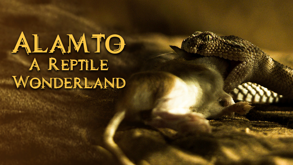 Alamto: A Reptile Wonderland Alamto: A Reptile Wonderland