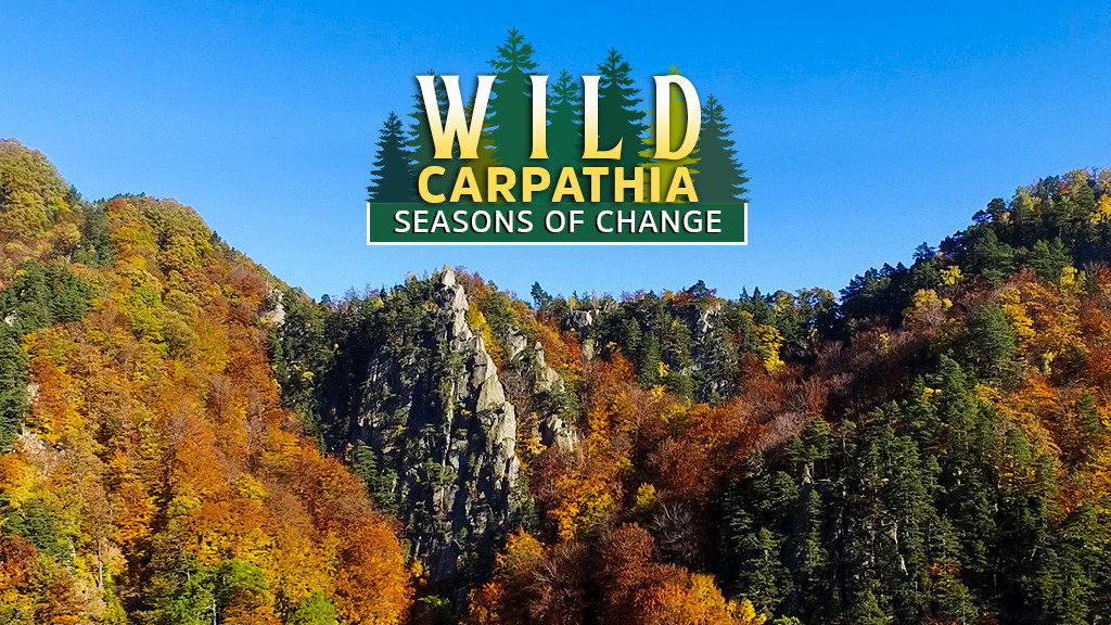Wild Carpathia: Seasons of Change Wild Carpathia: Seasons of Change