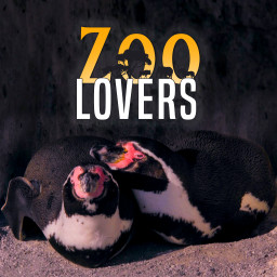 Zoo Lovers
