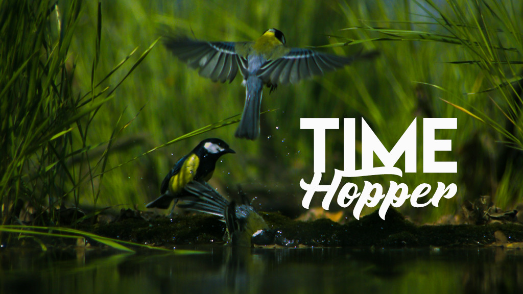 Time Hopper Time Hopper
