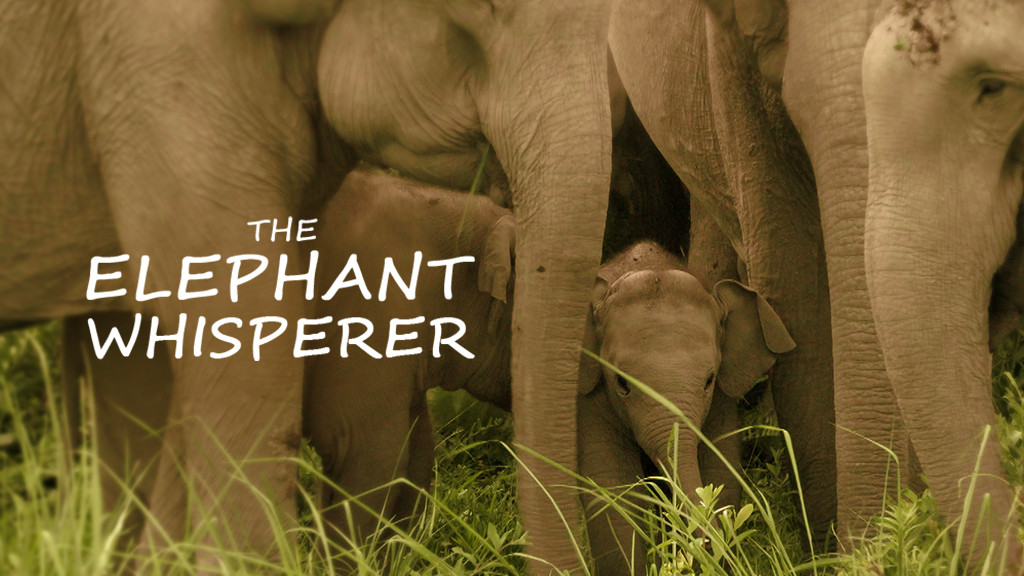 The Elephant Whisperer The Elephant Whisperer
