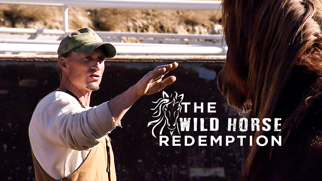 The Wild Horse Redemption The Wild Horse Redemption