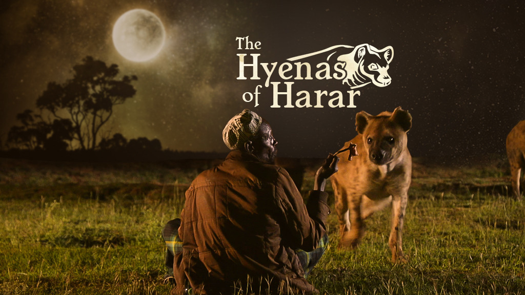The Hyenas Of Harar The Hyenas Of Harar