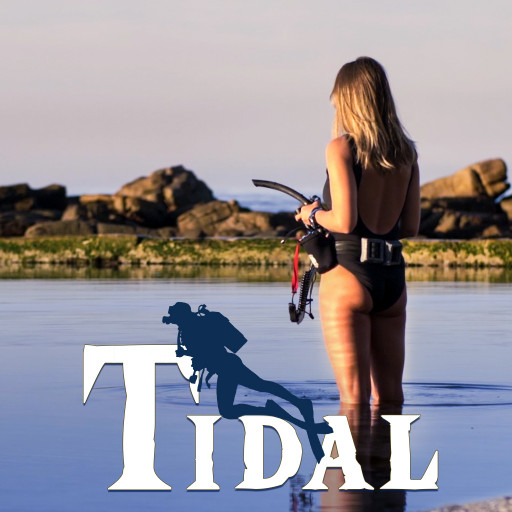 Tidal Tidal