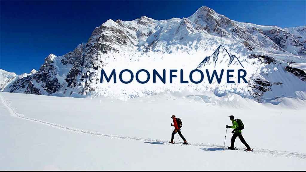 Moonflower Moonflower