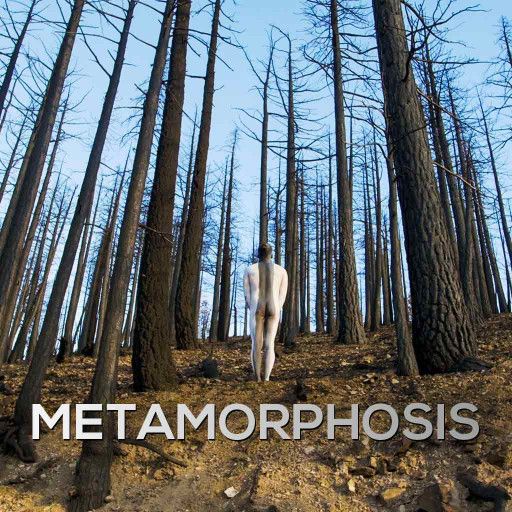 Metamorphosis Metamorphosis