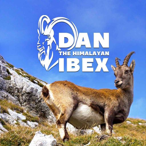Dan: The Himalayan Ibex Dan: The Himalayan Ibex
