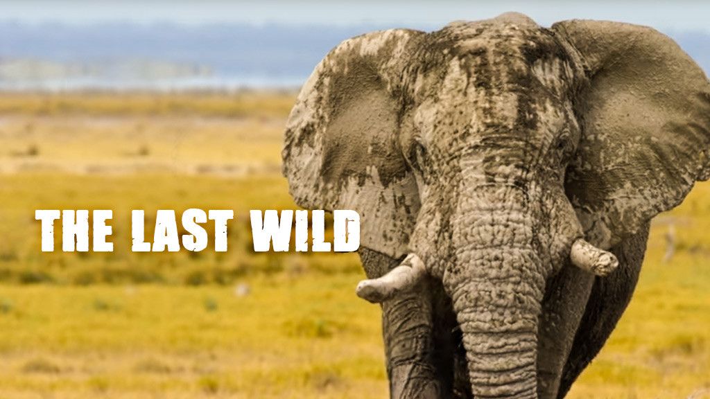 The Last Wild The Last Wild