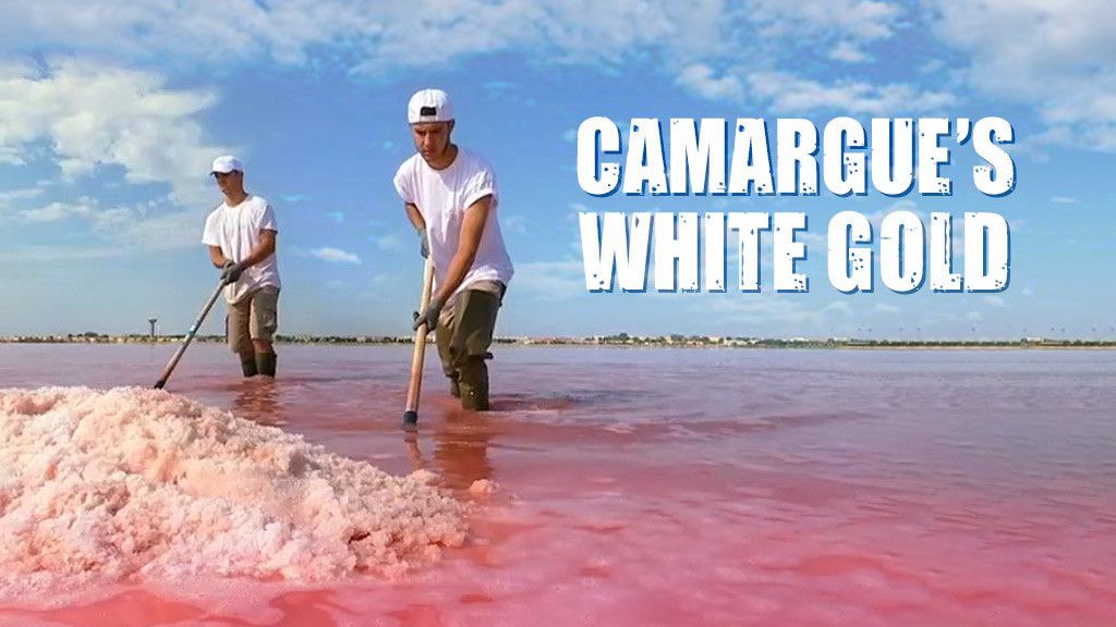 Camargue's White Gold Camargue's White Gold