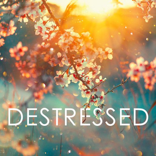 Destressed Destressed