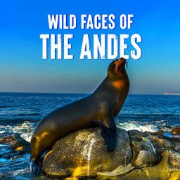 Wild Faces of the Andes