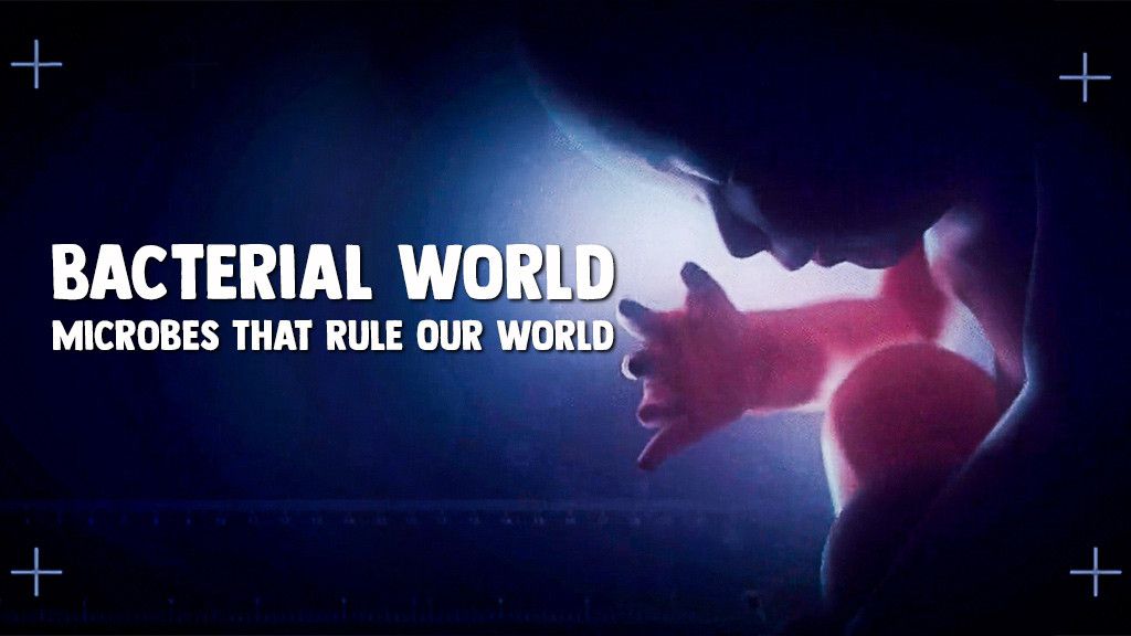 Bacterial World - Microbes That Rule Our World Bacterial World - Microbes That Rule Our World