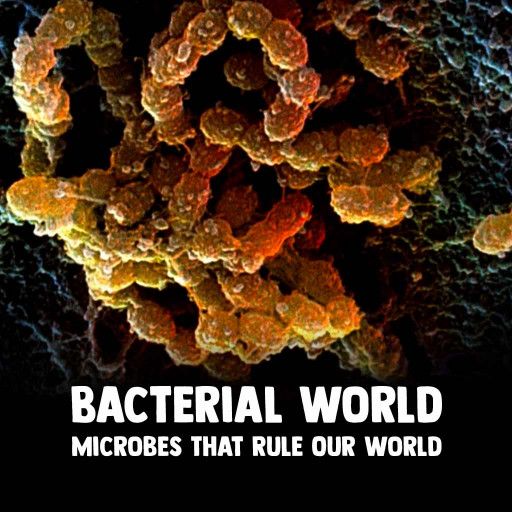 Bacterial World - Microbes That Rule Our World