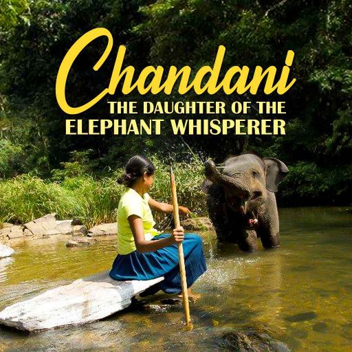 Chandani - The Daughter of the Elephant Whisperer Chandani - The Daughter of the Elephant Whisperer
