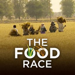 The Food Race - Pesticides, GMOs and Organic Farming on the test