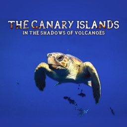 The Canary Islands - In the shadows of volcanoes