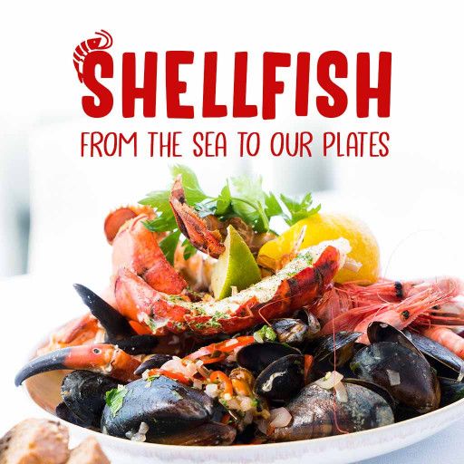 Shellfish: From The Sea To Our Plates Shellfish: From The Sea To Our Plates