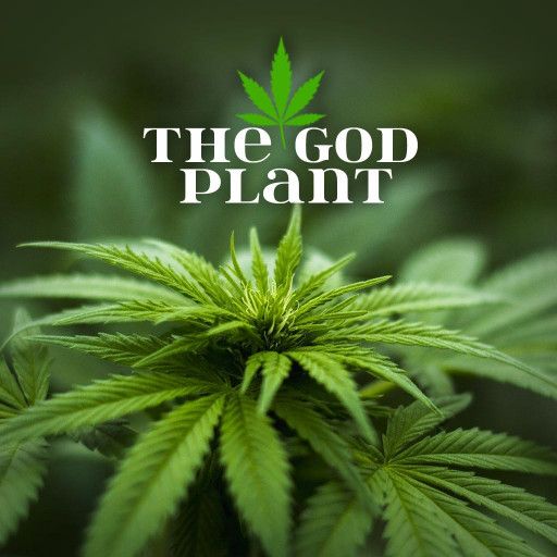 The God Plant The God Plant