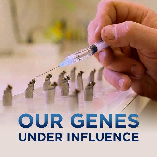 Our Genes Under Influence Our Genes Under Influence