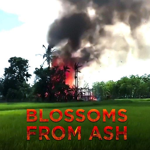 Blossoms From Ash Blossoms From Ash