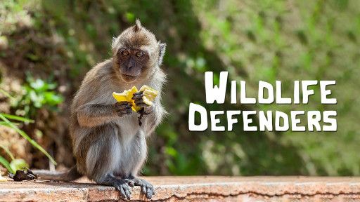 Wildlife Defenders