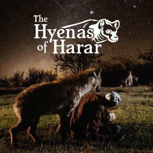 The Hyenas Of Harar The Hyenas Of Harar