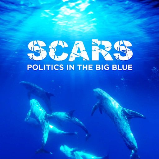 Scars: Politics in the Big Blue Scars: Politics in the Big Blue