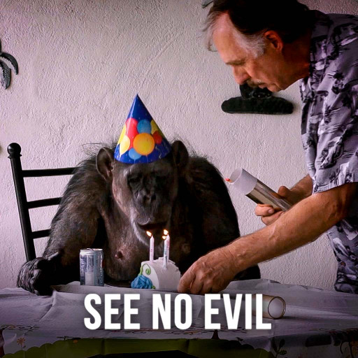 See No Evil See No Evil