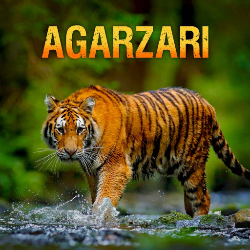 Agarzari Agarzari