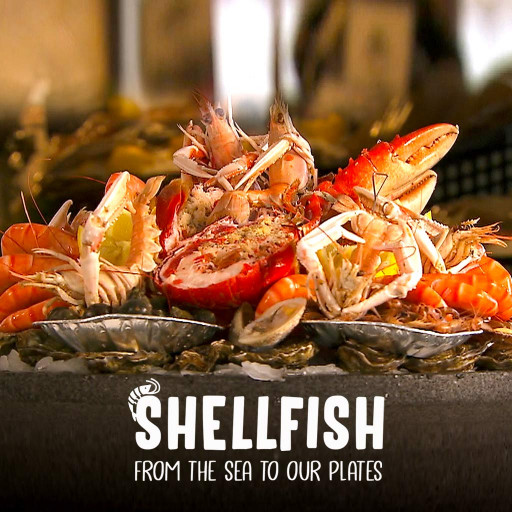 Shellfish: From The Sea To Our Plates Shellfish: From The Sea To Our Plates