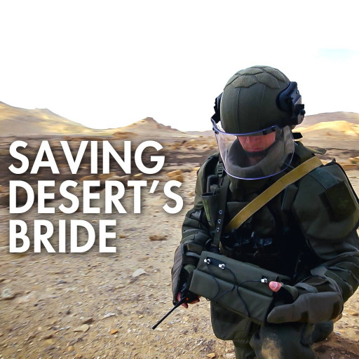 Saving Desert's Bride Saving Desert's Bride