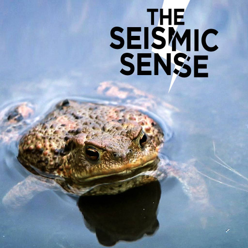 The Seismic Sense