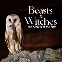 Beasts And Witches: The Secrets Of The Farm