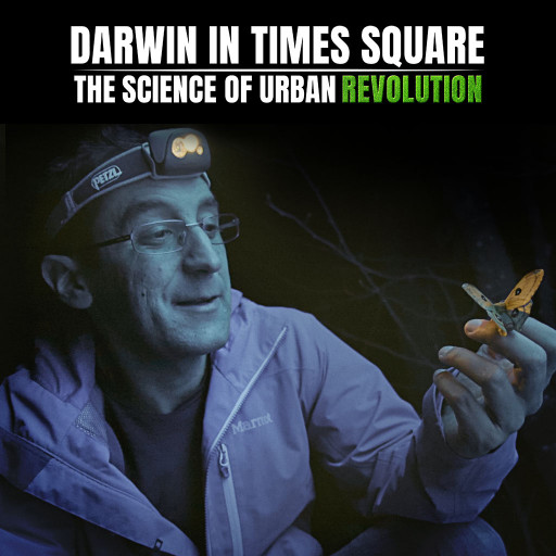 Darwin In Times Square: The Science Of Urban Evolution