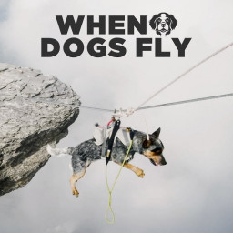 When Dogs Fly