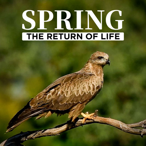 Spring, The Return of Life