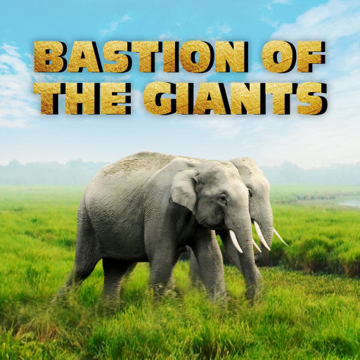 Bastion of The Giants