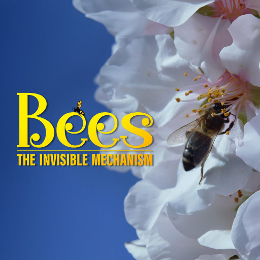 BEES THE INVISIBLE MECHANISM