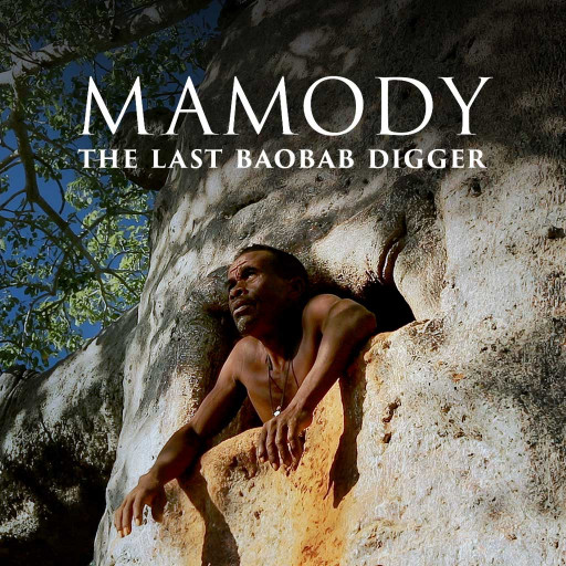 MAMODY THE LAST BAOBAB DIGGER