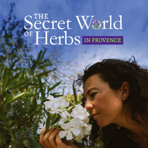 The Secret World of Herbs in Provence