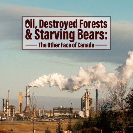 Oil, Destroyed Forests & Starving Bears The Other Face of Canada